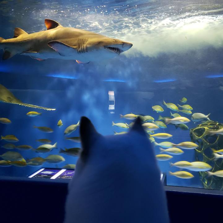 601f831c 1435 4d12 8228 219769afd360 1551528533746