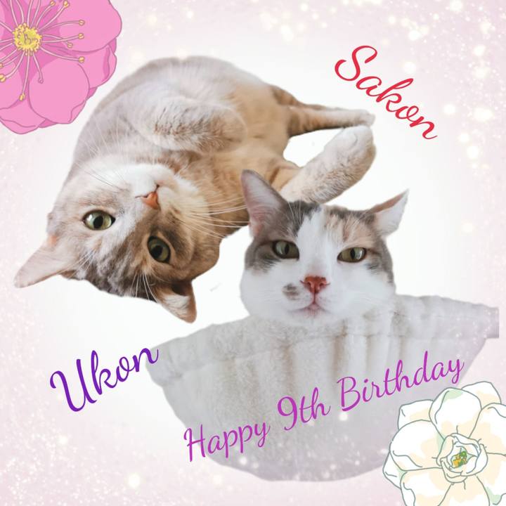 60206534 2591 402b bdff 65de1f64e4cf 1749855846531