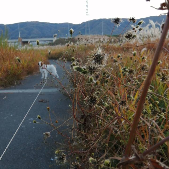 60207764 d268 4fd2 86de ff789563c5ea 1607038509519