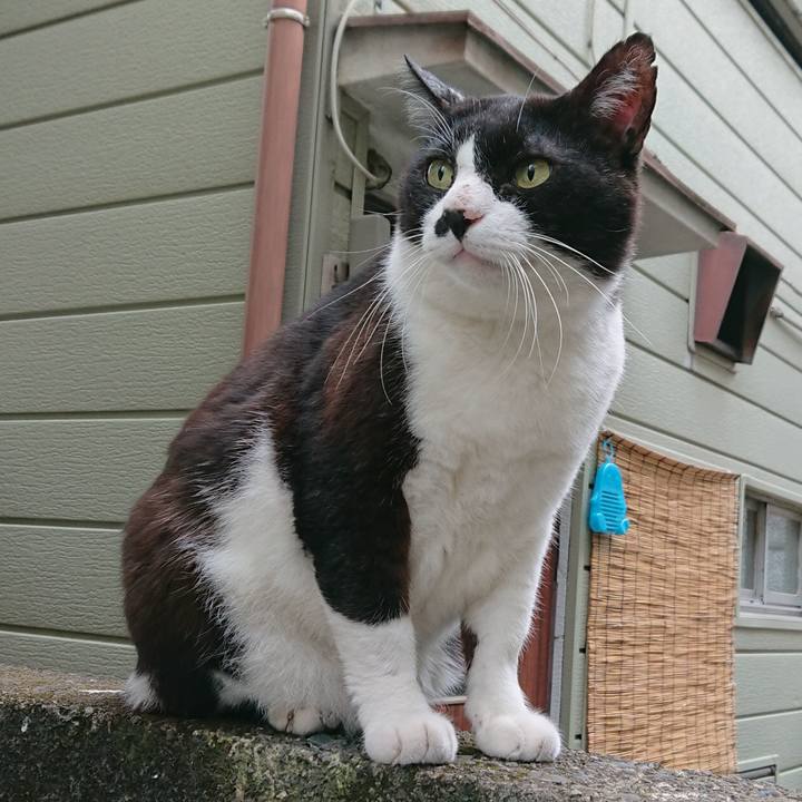 60209b34 f760 49bf 8458 9ade19176a27 1538623400571