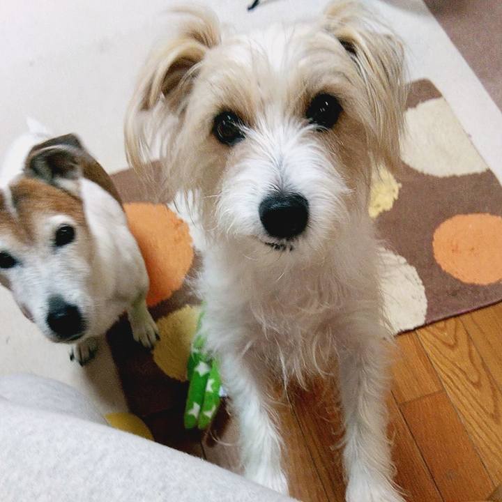 6020a080 d71c 46c9 9fa8 a47d0c935aaf 1586989603178