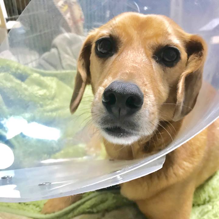 6020a708 3949 497b a73a e59360fac62e 1556468500869