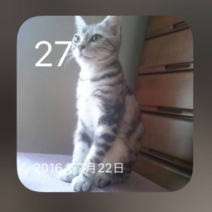 6020c804 6b1e 4b51 8424 fbecaae3407d 1658876231025