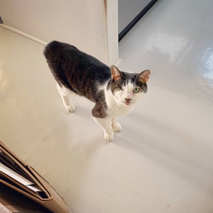 6020ec33 9989 4476 99e1 28dedf9941d0 1619133719606