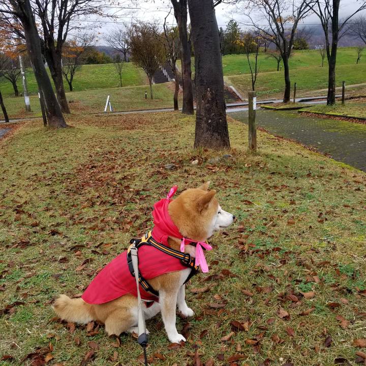 6020fb8f bf31 4694 ae00 229b6d32633d 1636434963339