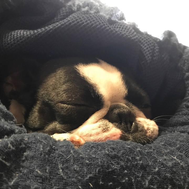 60214434 ee4c 4e2b 9547 de06300997a0 1560595366127