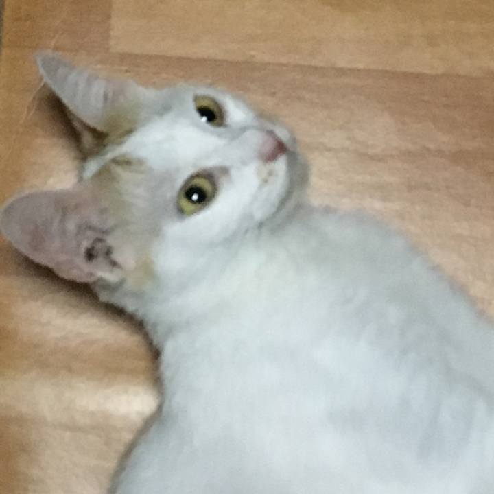 60217da7 466e 4e98 856a a0ce082846e9 1532273811255