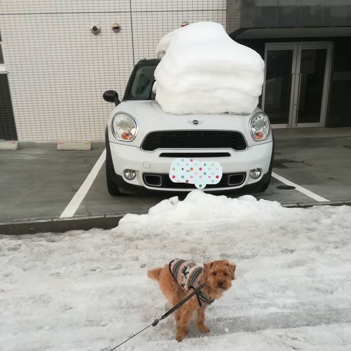 602198cd 13f7 4439 8c98 224dc347af4e 1551048476807