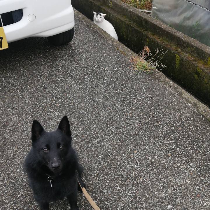 6021a169 f1a4 45a8 9184 930a23c47fdf 1628716152203