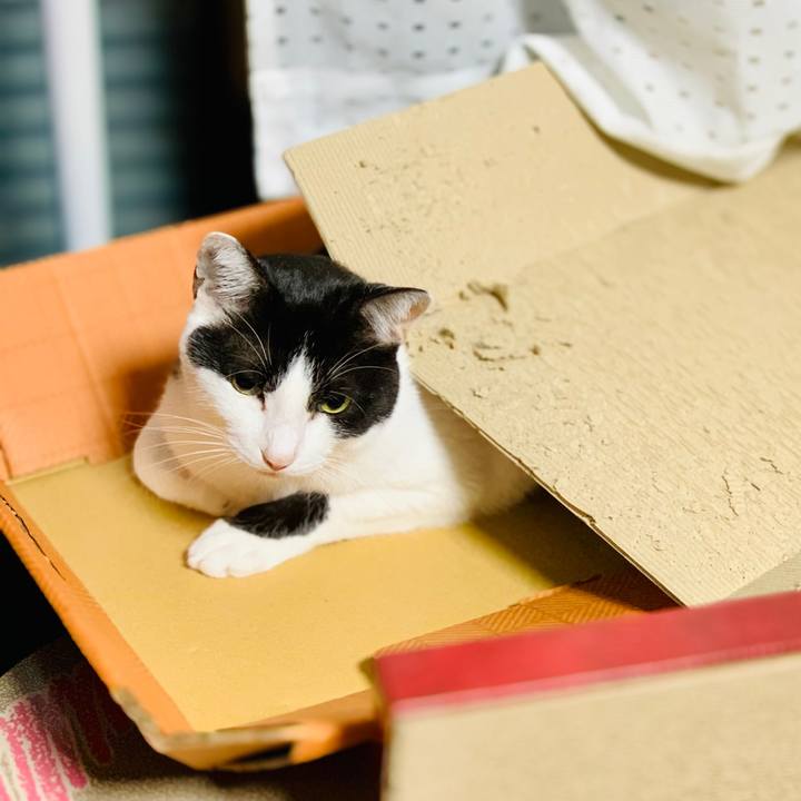 6021ba38 3891 4859 adb9 45dcf63472c2 1605752109487