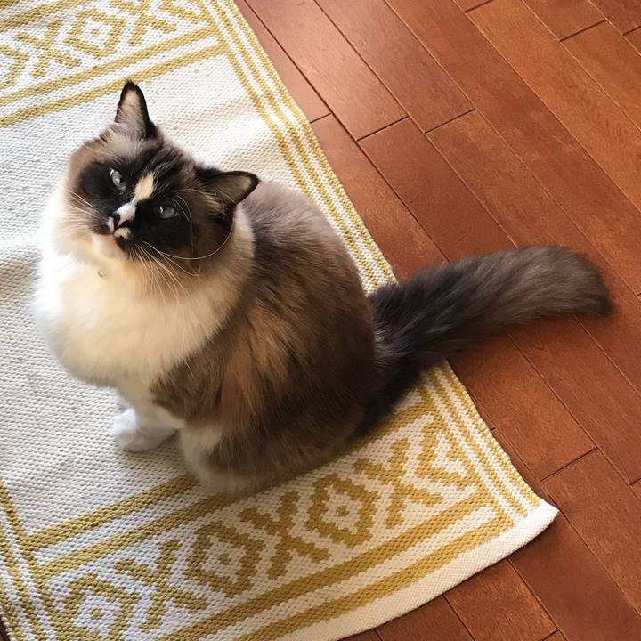 6021bddd 85c2 4395 8e39 d9896ba6a5b4 1516180645064