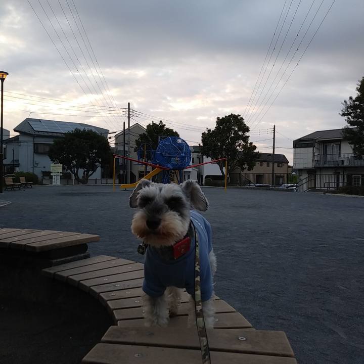 6021c975 9925 47ed bcd0 6ff20cfafd75 1553461013811