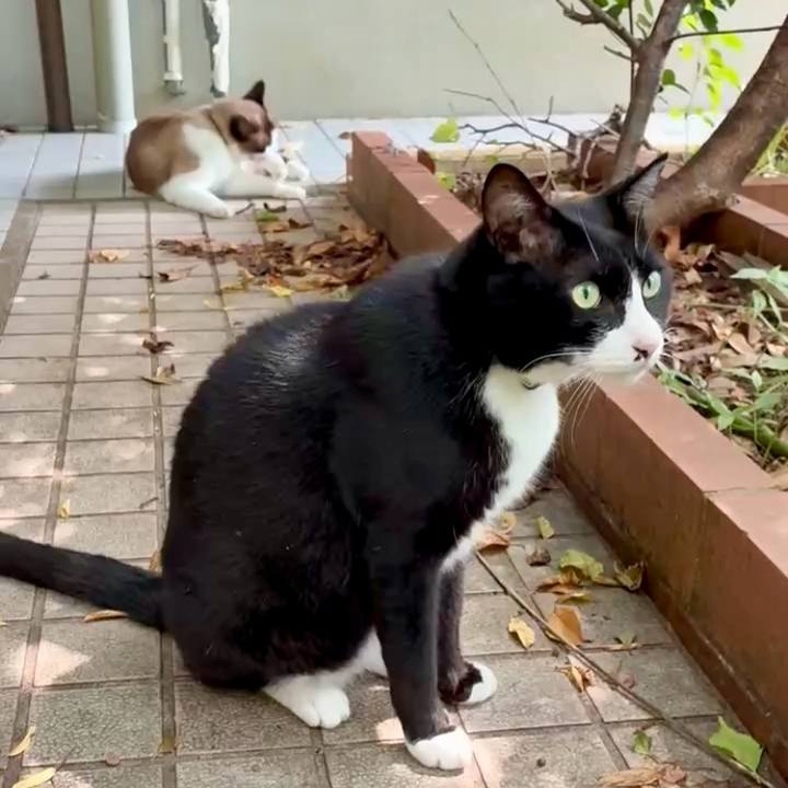 6021f129 2f42 464f b017 b8d13cf295a9 1753238335704