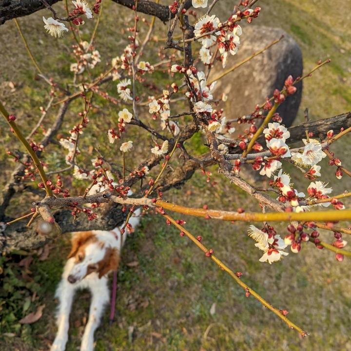 6021fa2c e728 4076 a71c 71c778c163ce 1643792939969