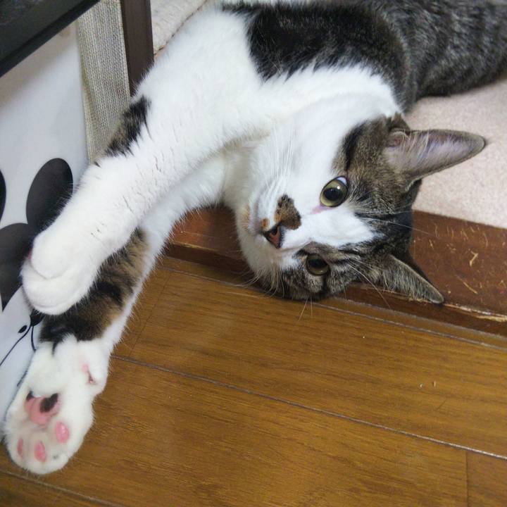 602207d2 025b 4a09 b8c5 3e9fc432db87 1658661723293