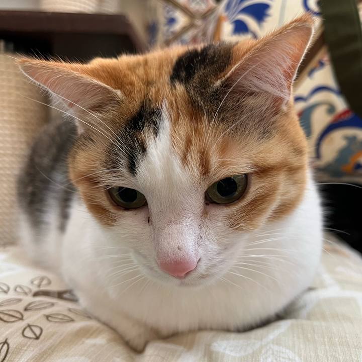 60220867 95f8 49eb 9fda 84e333c2557a 1767566533931