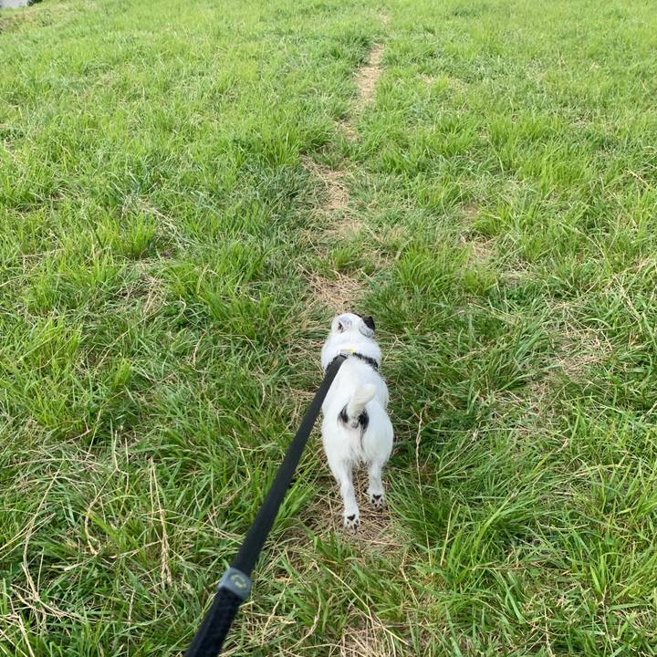 60220b1c 9563 40f5 ad43 01e87c693e2b 1748478270212