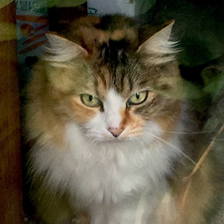 60221123 2be4 478e 9e5c b0da43eec787 1565317404964