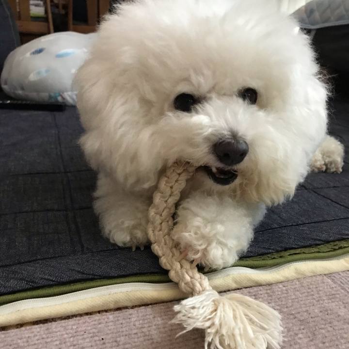 60221150 0baa 4265 b69c 5023a9a83346 1560141970838