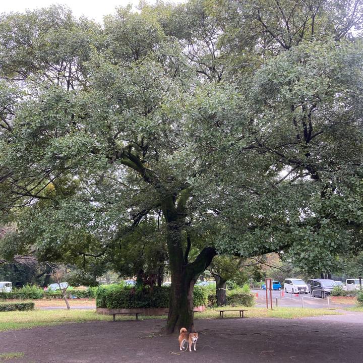 60221a9c 817c 453b bd89 992787980e7d 1696400315442