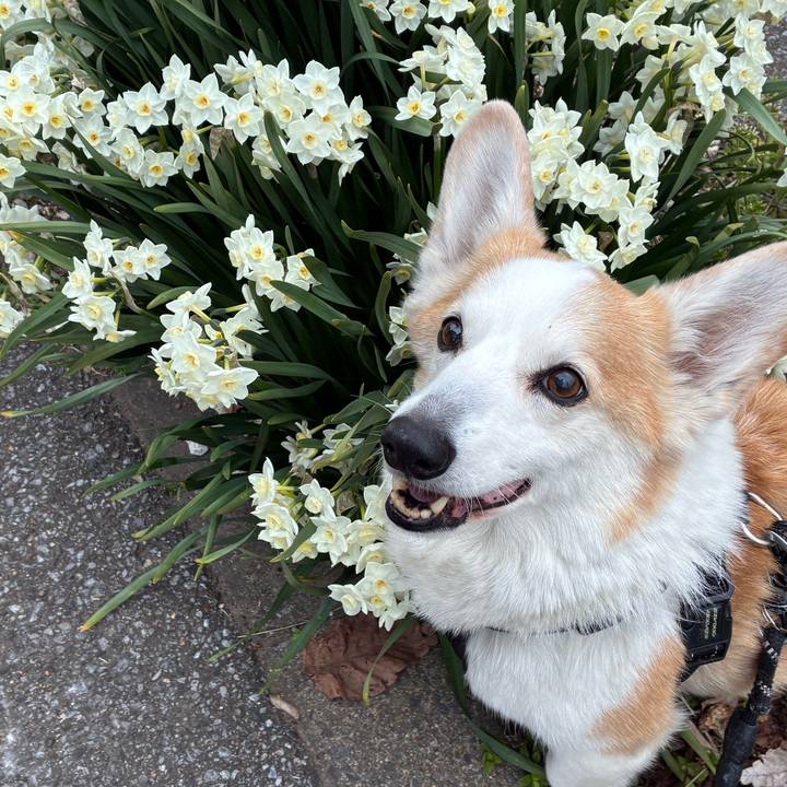 60223498 7af6 434f aed3 be4806f68a80 1773620440878