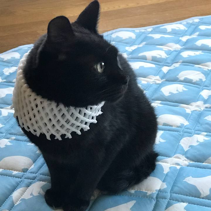 60226571 8b63 46bc 8284 f0ec2ddb6f98 1533274492595