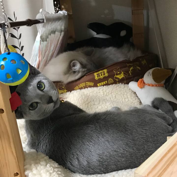 60227ce6 6433 4a65 bbbb 3a46235dc612 1511694699953