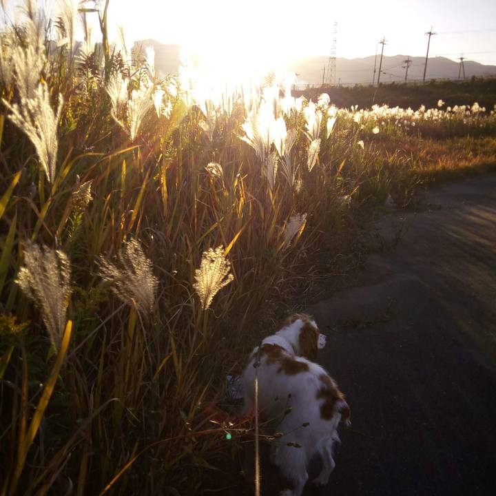 6022af70 3665 4b0f 8193 9251cee94d95 1511511308132