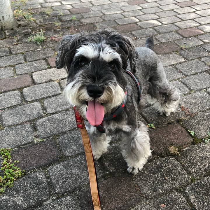 6022b34d ed0c 4748 8377 7b300205d80c 1663447680632