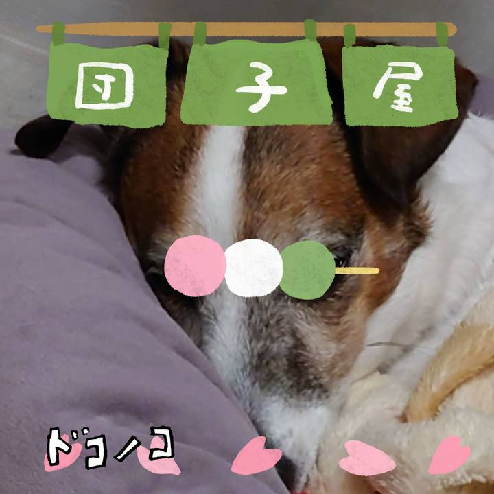 6022b56d 4d0a 4e1d bbf9 8f11f44ce68e 1712203386062