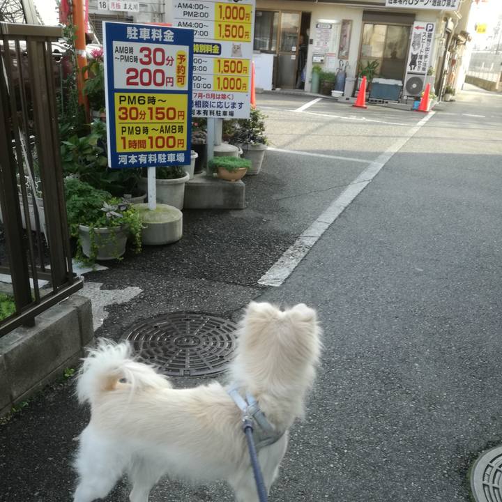 6022c35f f084 45cb 870b 81143aafb5eb 1510733967191