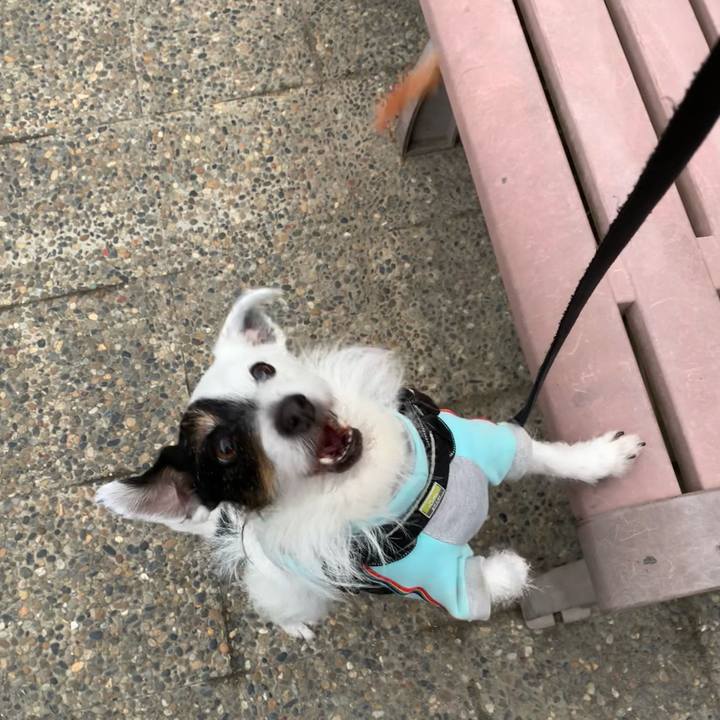 6022fadf 4212 48bf 9473 3f1e0cc627e3 1712219694062