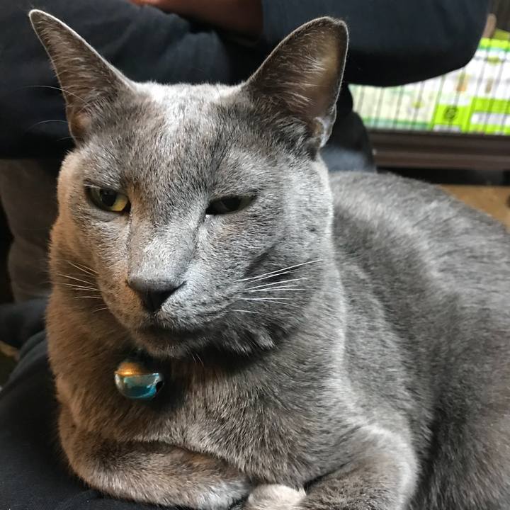 602314e7 7301 4899 a883 f1e0f4c76eae 1519044432422