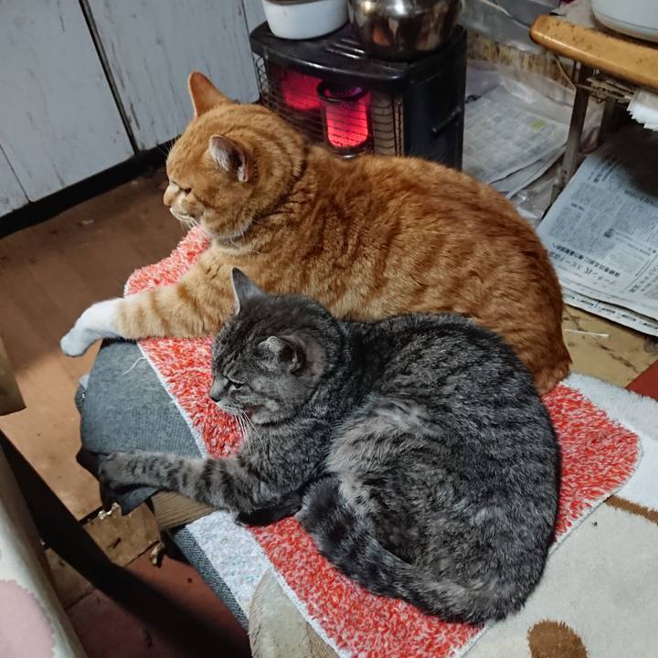 6023602f cbae 45a6 8f0c 43fa13960dec 1580988622168