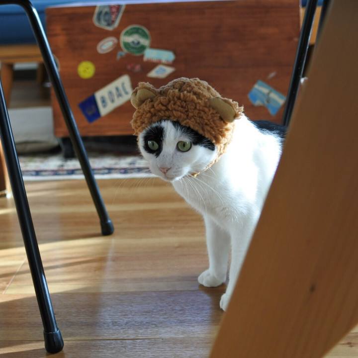 60237623 9423 4259 beca 40bbbf76899b 1513601200452