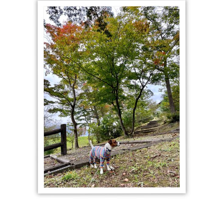 60238a14 ada7 40cc 9b35 3a7003ecdab6 1635146535211