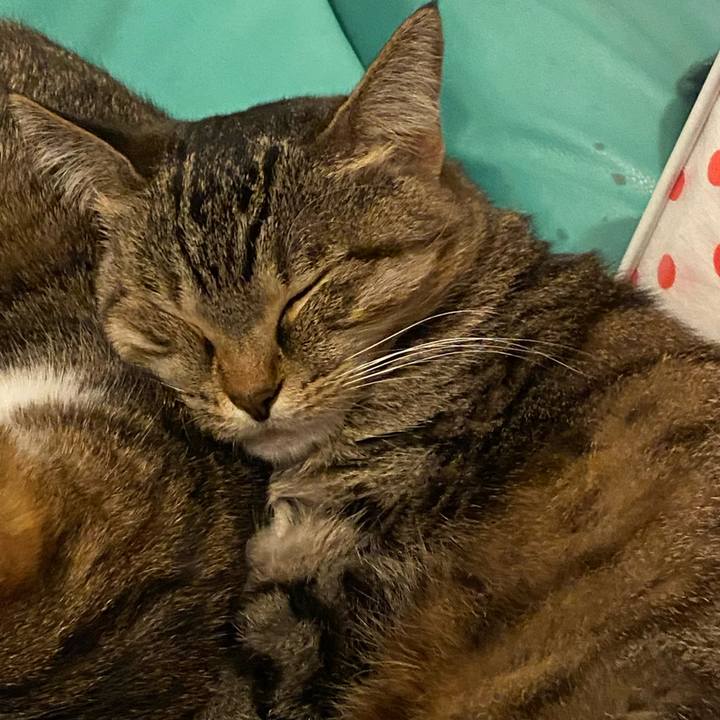 6023ba57 ee43 492b b0ca 4f94c2861e4e 1636822771070