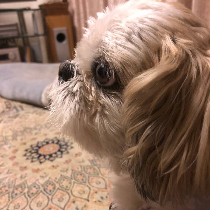 6023ddcc 63c5 49c5 9da0 4eb431ef19f0 1617919323182