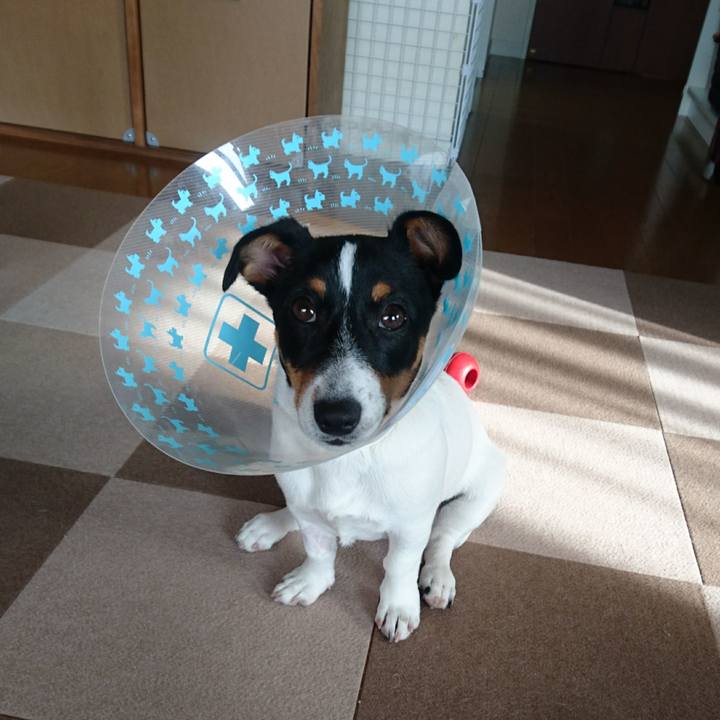 60241e83 637d 40e3 82a5 7e55175fdbfd 1518783353118