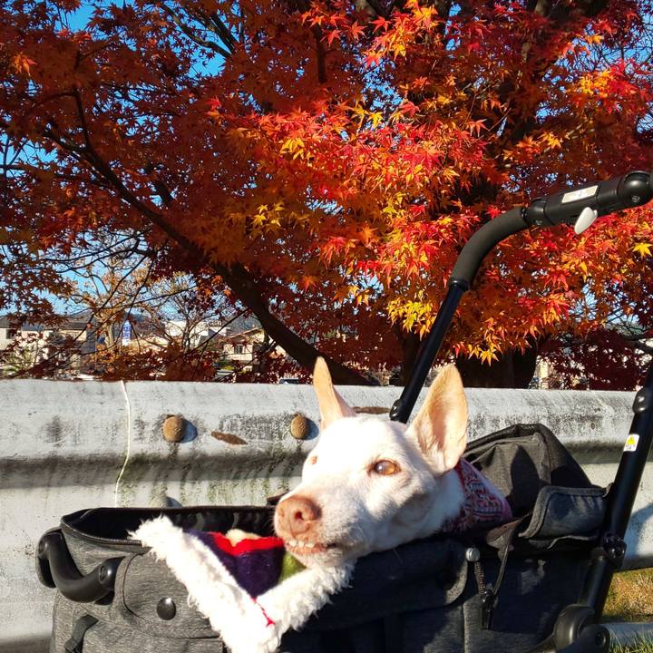 60244044 5c9a 4b94 9770 f9fd414c4428 1607216686400