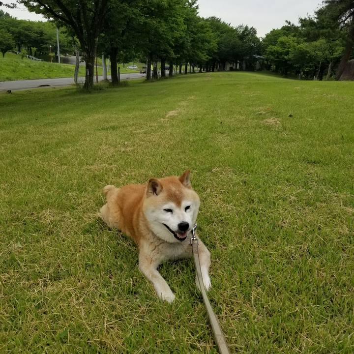 6024442e 9149 483b 9041 3c01c133374e 1718611751151