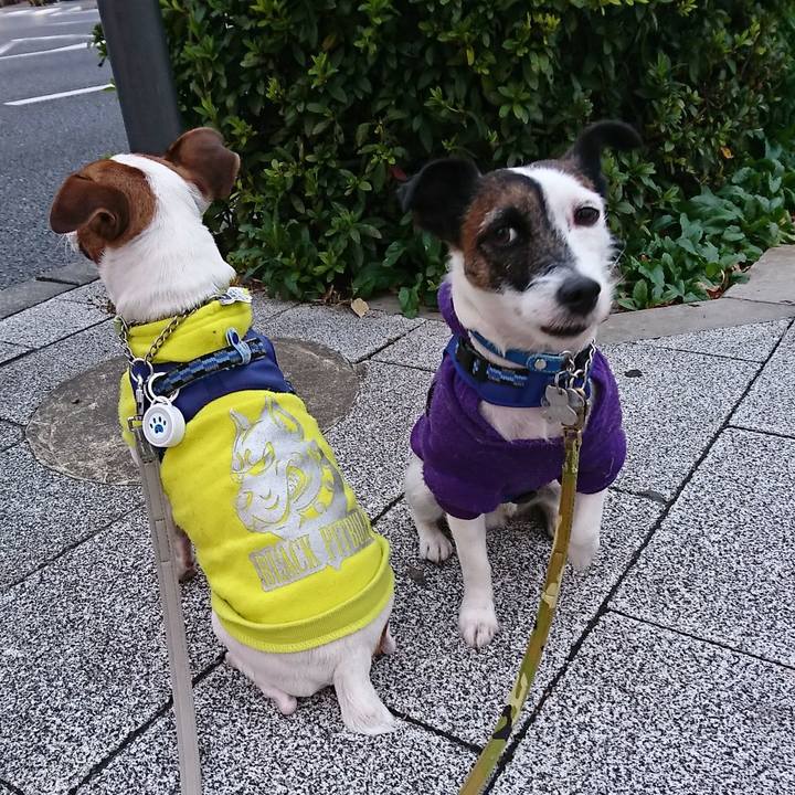 6024855a 5bad 48e6 857f 00dad189d40f 1575842465391