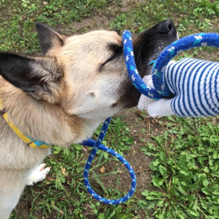 6024b297 838c 4df8 9570 9e1bb07d255d 1508847853463