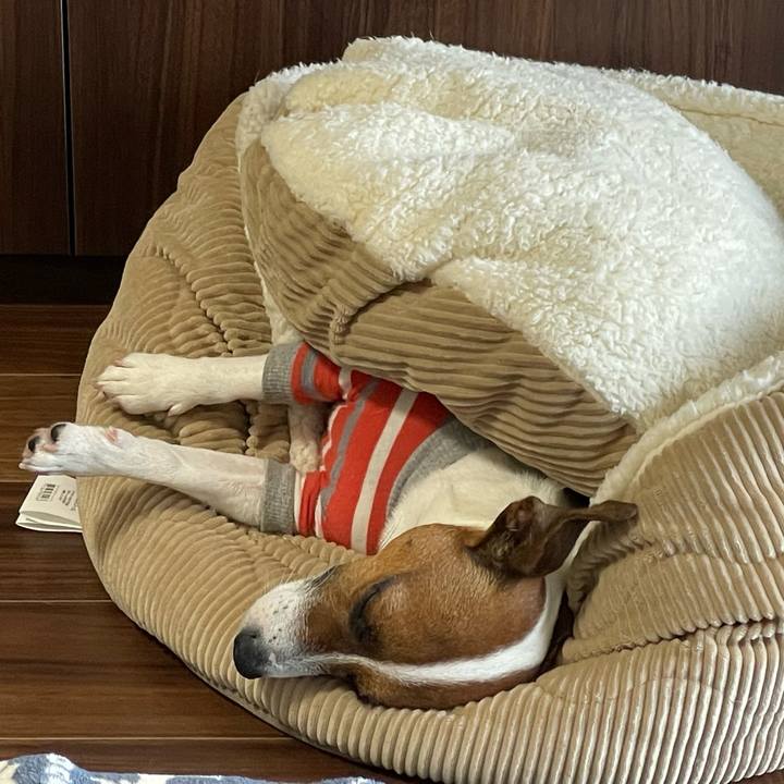 6024d69c 5c05 4b33 8e2c 820a74866550 1647757818871