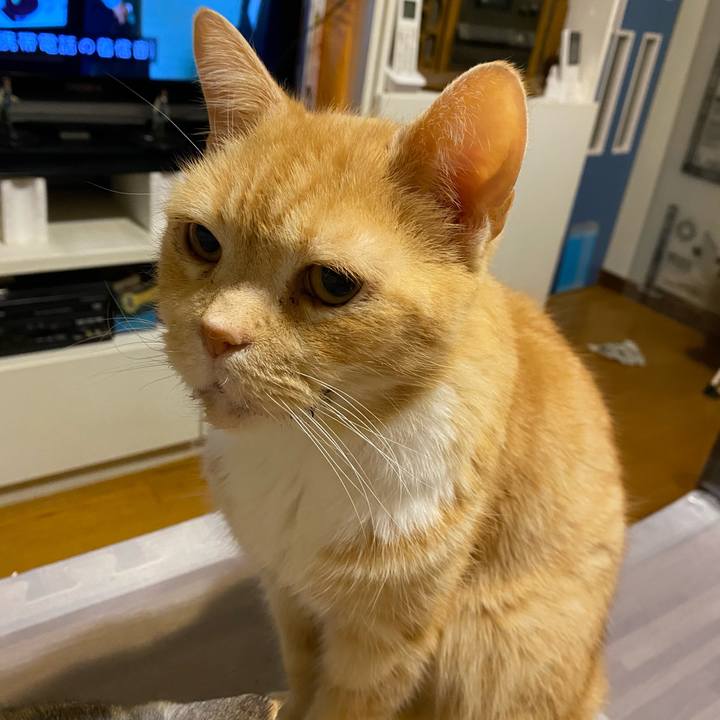 6024eefd 0a98 4058 ac61 ffb38006162b 1612537488935