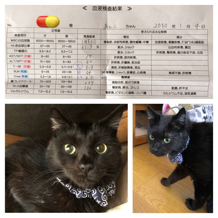 6025087c d046 4531 bd89 d7ae2b4d6409 1578111657617