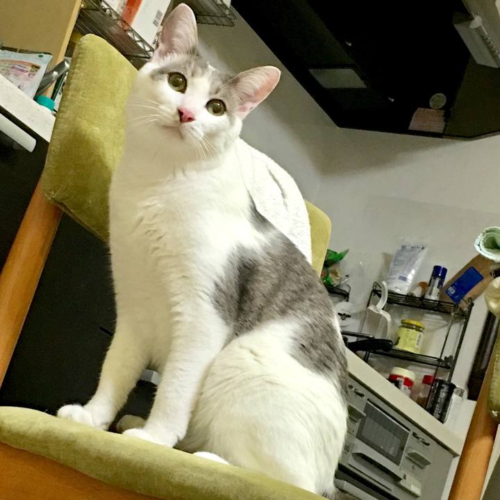 602534be e06b 42cd a617 17b5949d8360 1533042355268