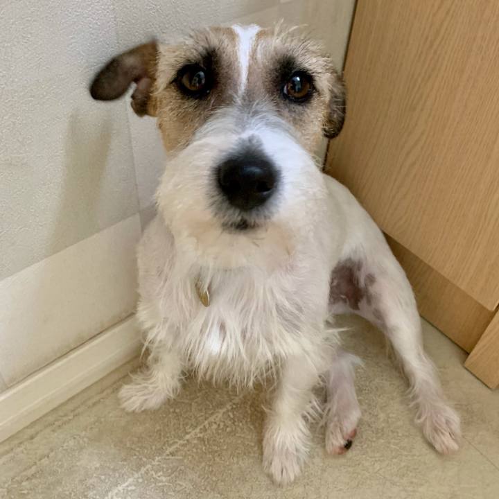 60253867 3fd0 47ed a8d0 6d5009237e6b 1623884810589