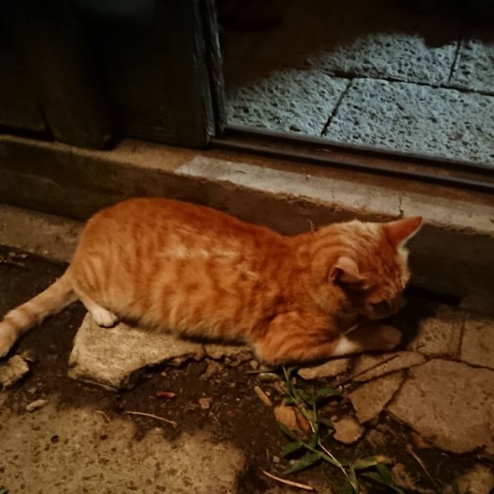 60254d19 c1cf 4155 afd0 4018ceedcb0f 1566302134288