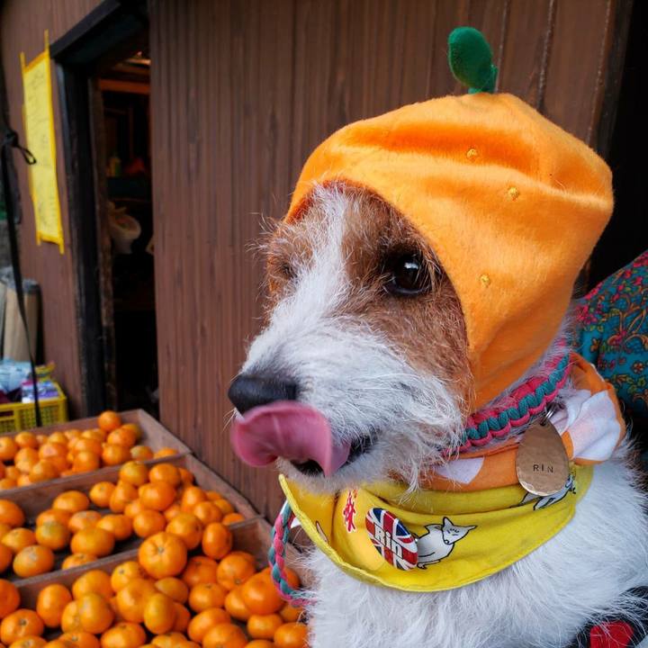 6025794c fb55 4631 8aee 35fd58ad2c69 1607767507530